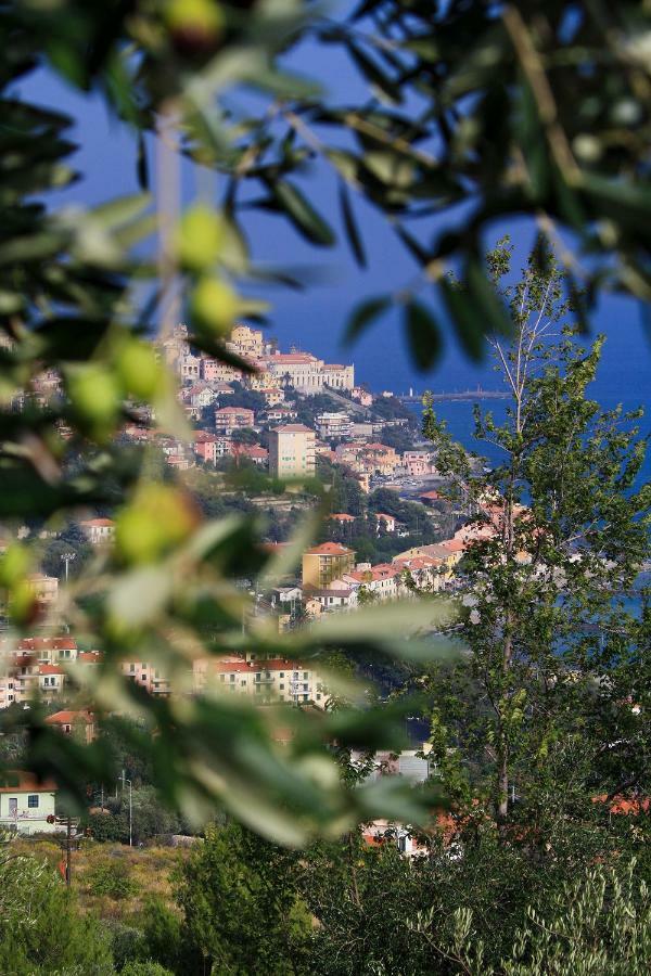 Appartamenti Villa Chiara インペリア エクステリア 写真